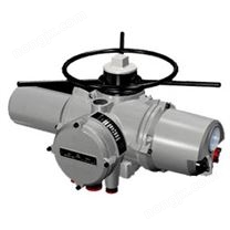 智能型電動執行器