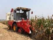 雷沃谷神4YZ-3A（CE03）玉米收割机