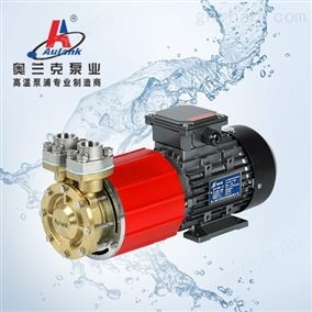 *超聲波清洗無軸封磁力泵