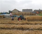 小型小麦收割机厂家