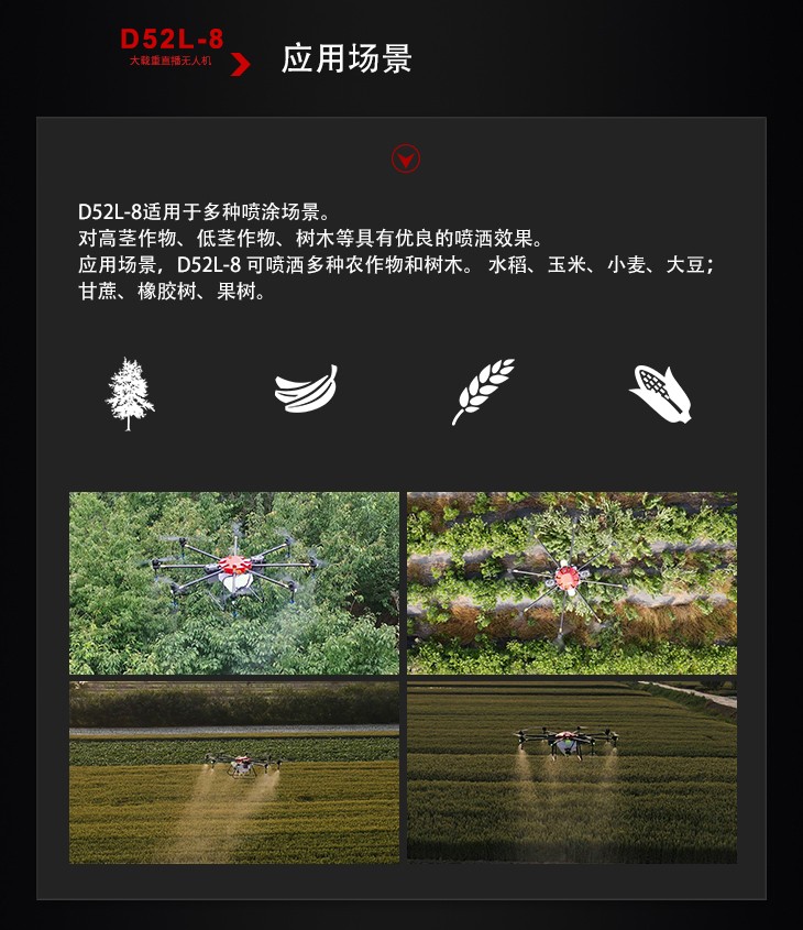 4 D52L-8.jpg