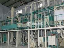 豆类加工设备 全自动核桃榨油设备